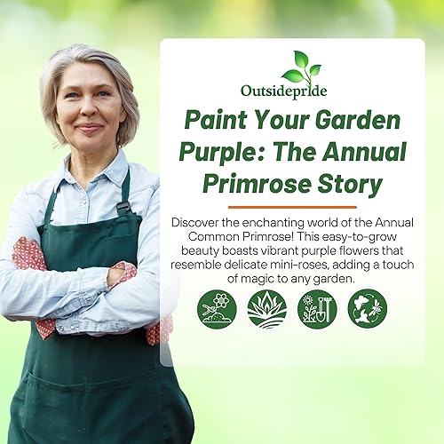 Miniatura 5 de Outsidepride Primula Acaulis - Flores de jardín moradas de onagra común para camas, bordes y recipientes, 20 semillas