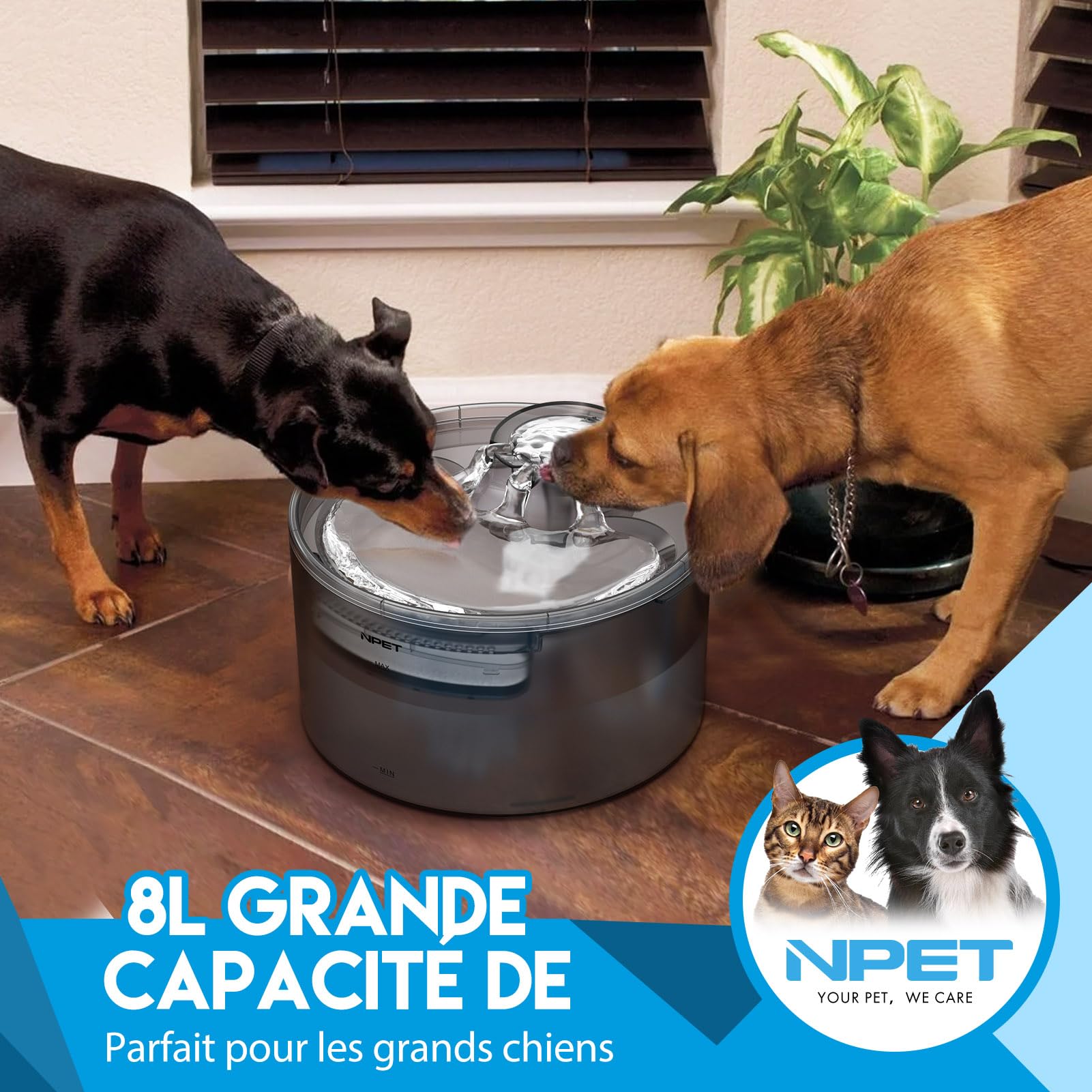 NPET Fontaine à Eau Chien, Fontaine à Eau pour Chien Automatique avec Protection Anti-éclaboussures, 8L, pour Chien&Chat, DF30