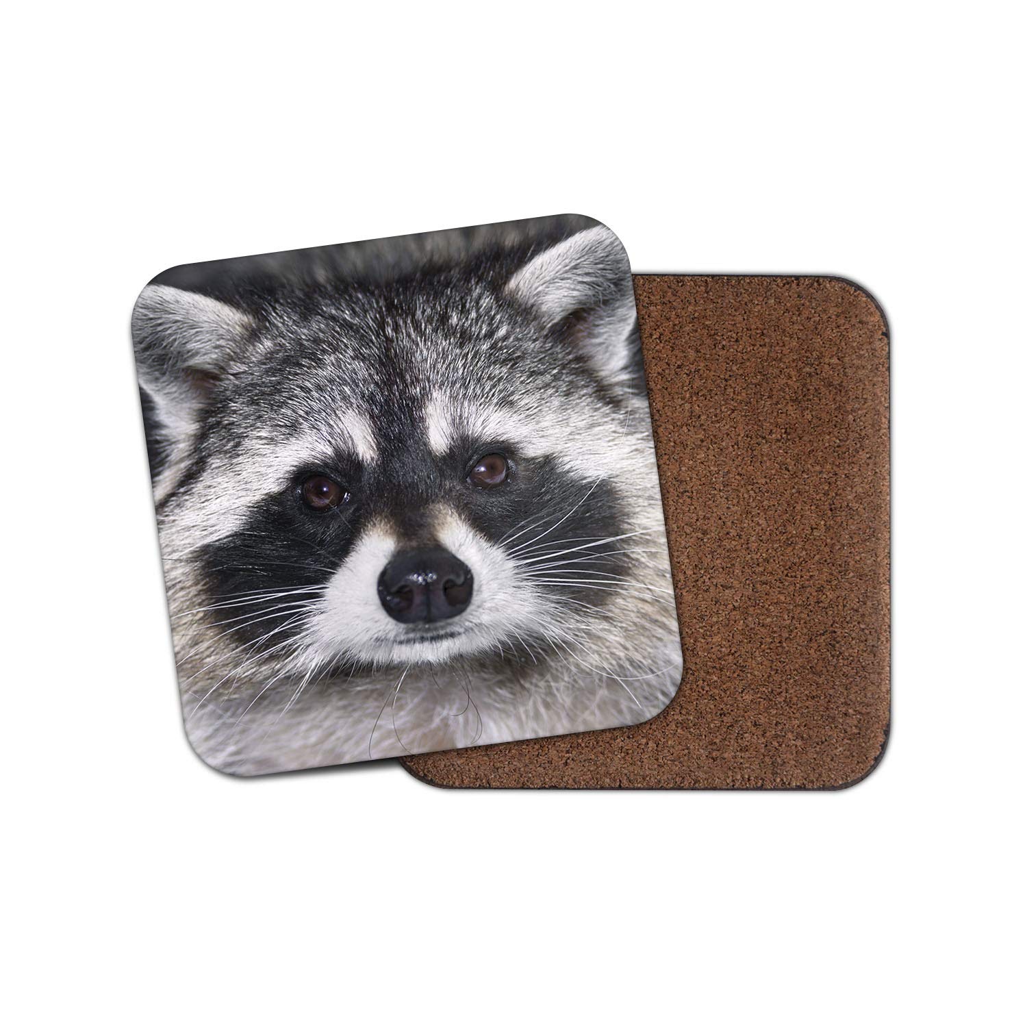 1 x Cute Raccoon Coaster - Wild Animal Racoon American Cheeky Funny #14190