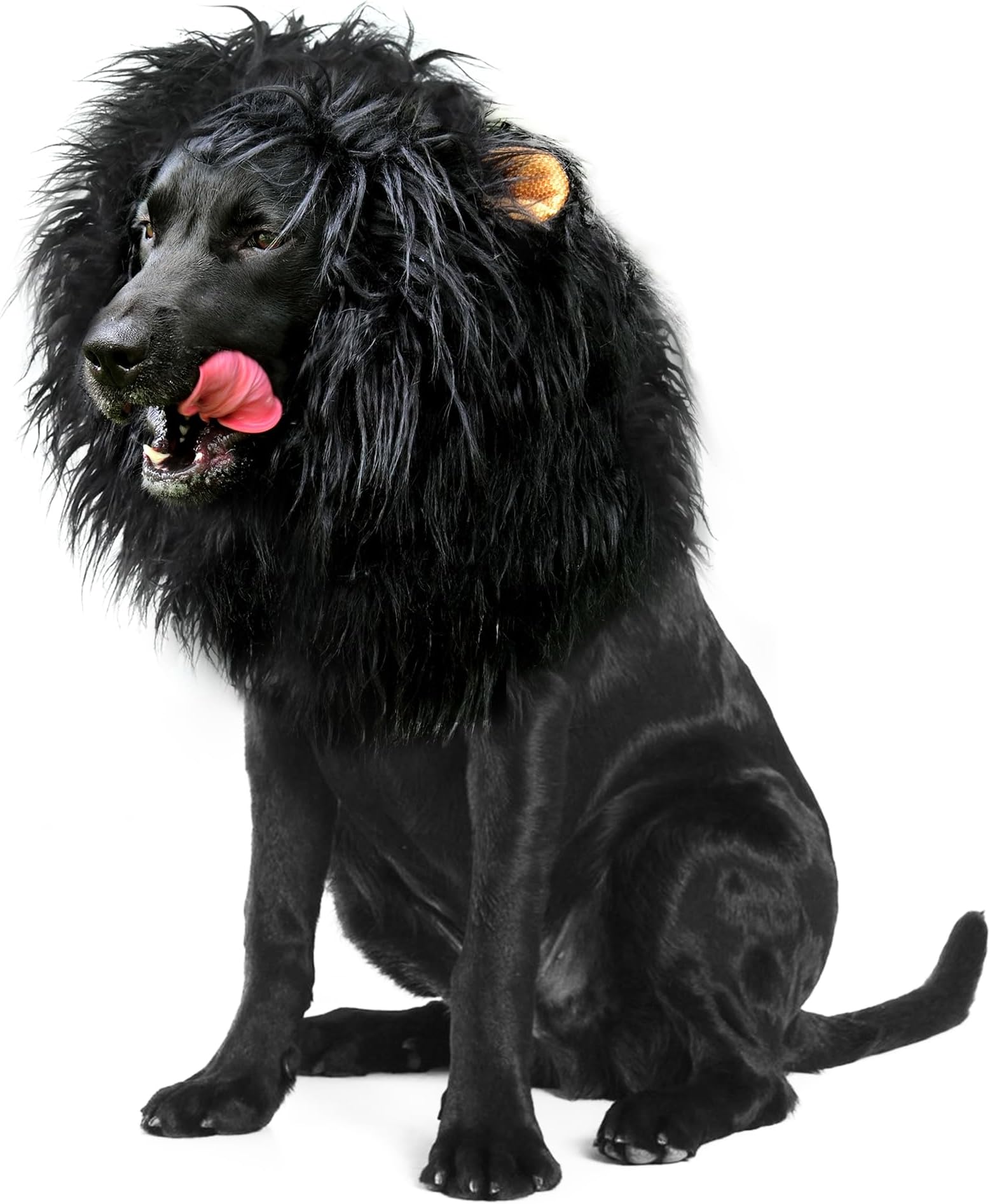Onmygogo Lion Mane Wig for Dogs with Ears, Funny Pet Costumes for Halloween Christmas