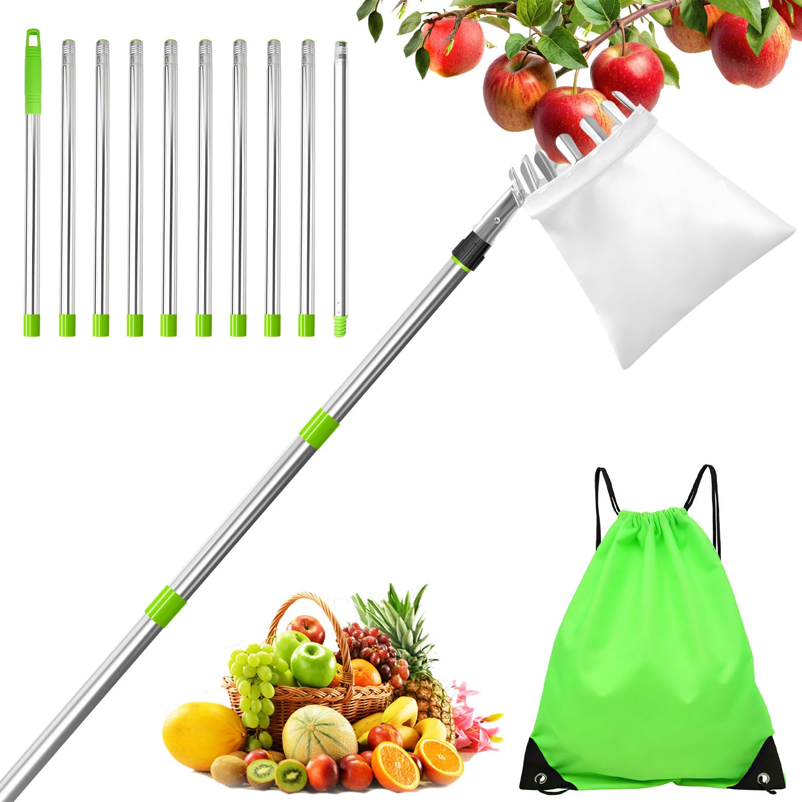 Raccoglifrutta Telescopico 2.0-4.0m | Cestello 145mm In Acciaio Inox | Per Mele, Pere, Ciliegie - Foto 4