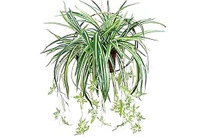 BEIJIALY 4 Faux Spider Plants for Home and Hotel Decor