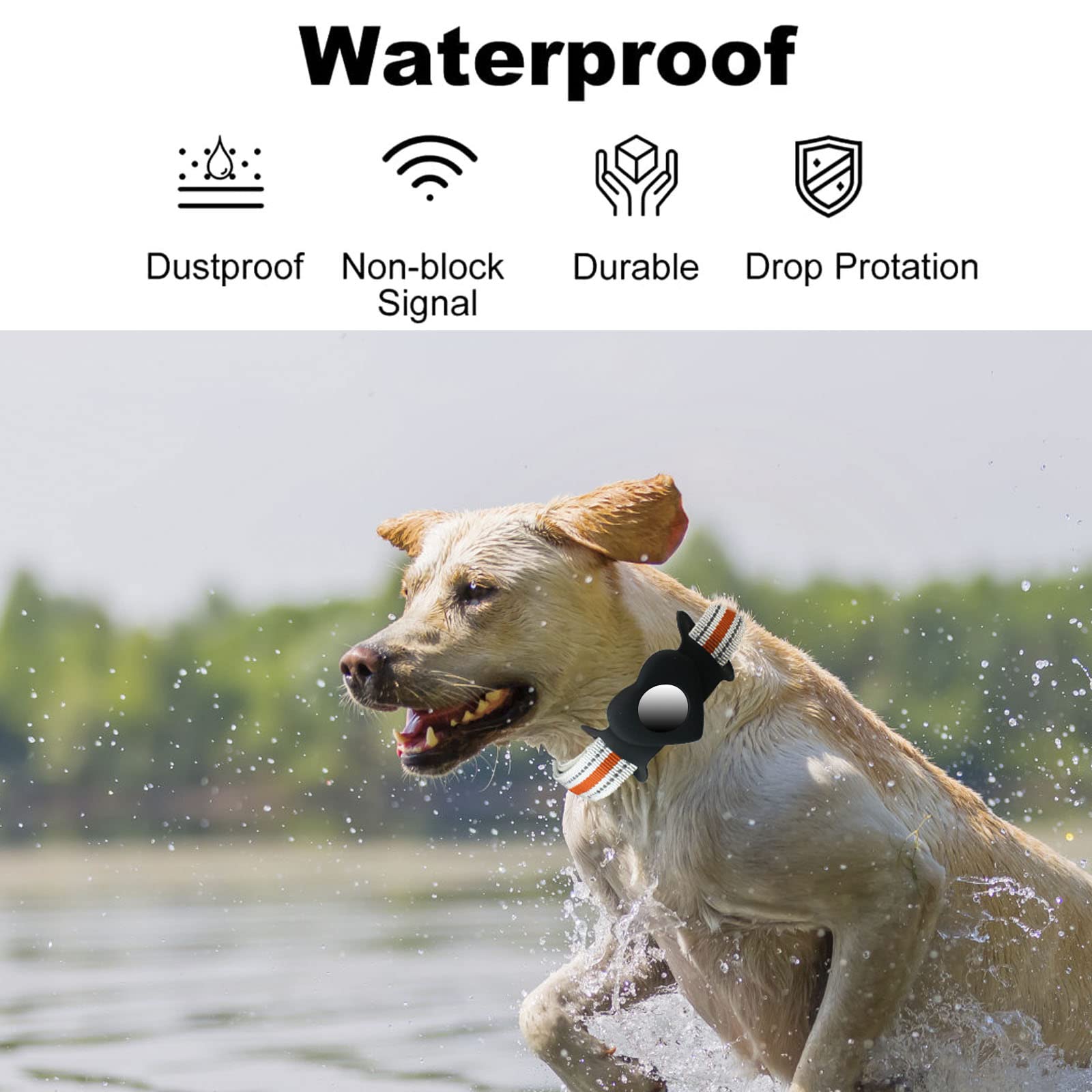 Reflektierendes Hundehalsband Mit AirTag-Halter & QR-Code – Neopren Gepolstert, Verstellbar, Größe XS