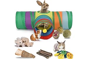 Ultimate Bunny Ramp and Tunnel Kit