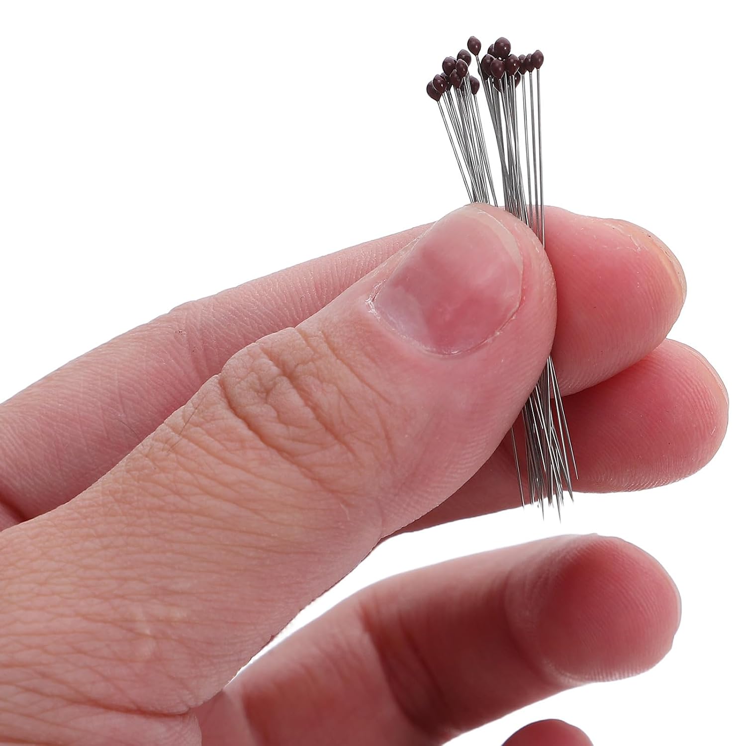300pcs Stainless Steel Insect Preservation Pins with Plastic Heads for Specimen Mounting, Butterfly Display, and Entomology Use in School Labs and Collections