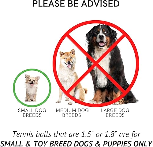 Miniatura 9 de Midlee Squeaky - Mini pelota de tenis para perros de 1.5 pulgadas, paquete de 12 (amarillopúrpura) - Pet Fetch - Juguete interactivo para perros