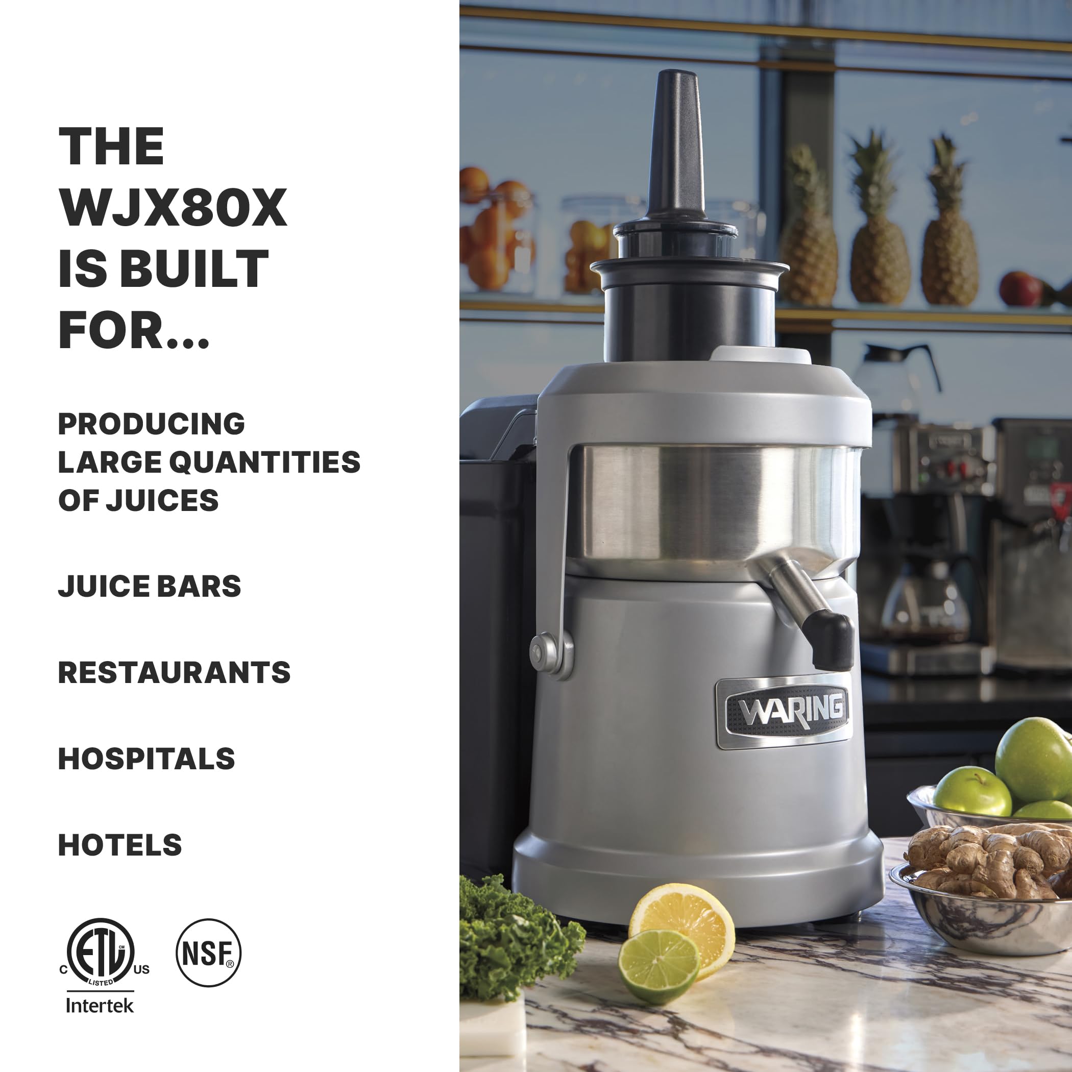 FMI WARING COMMERCIAL ジュースエクストラクターJEX 4 Waring Juice Extractor : Amazon.ca: Home