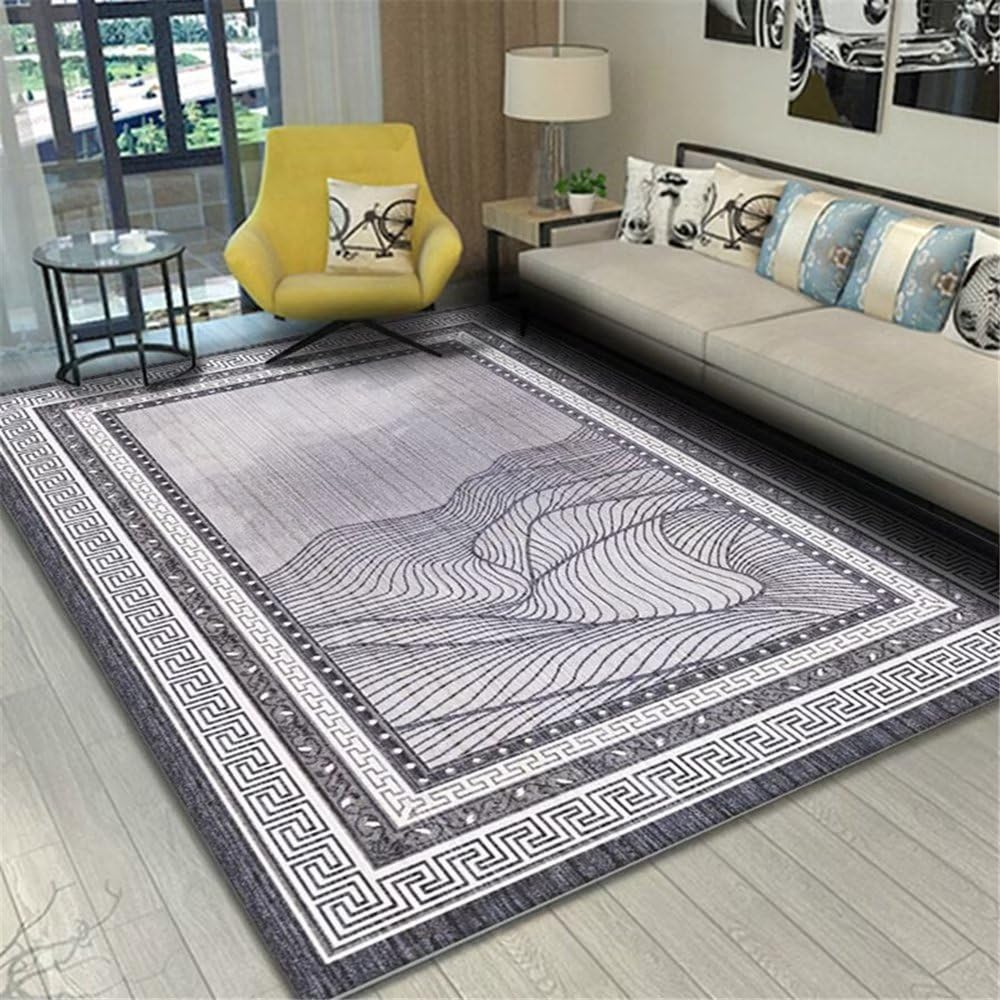 Tapis de sol salon gris anti-tache grand tapis garage gris et chambre à coucher 200x250