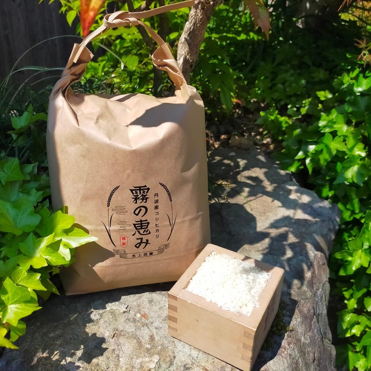 Amazon.co.jp: 令和7年産 丹波産コシヒカリ霧の恵み 玄米30㎏ 残留農薬