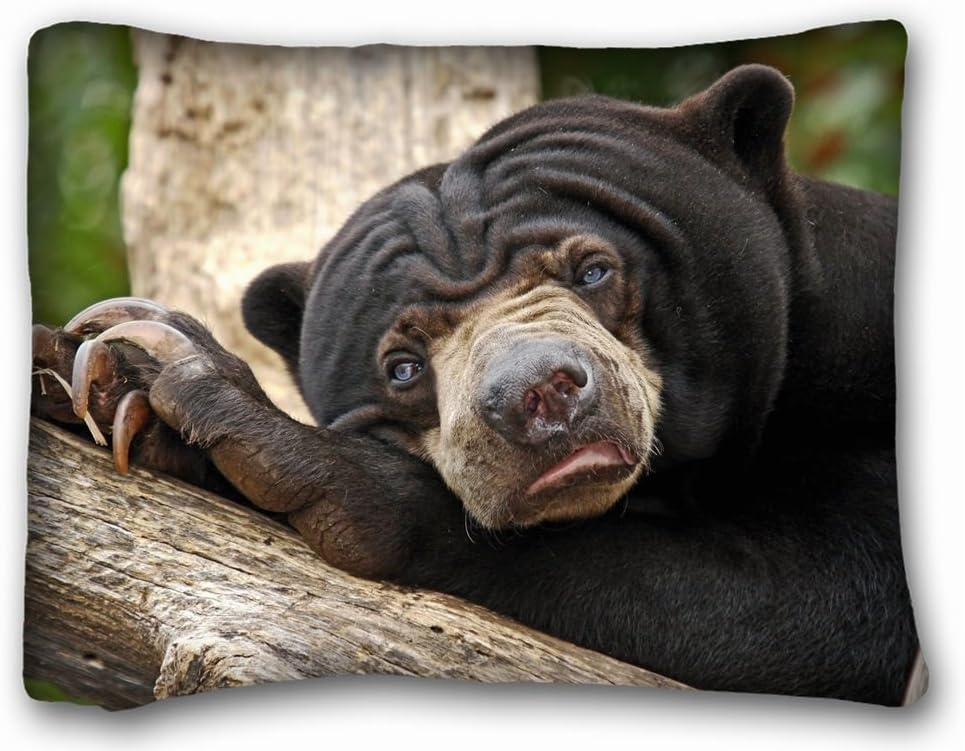 Animal Pillow Case Animals melursus ursinus sleep s muzzle