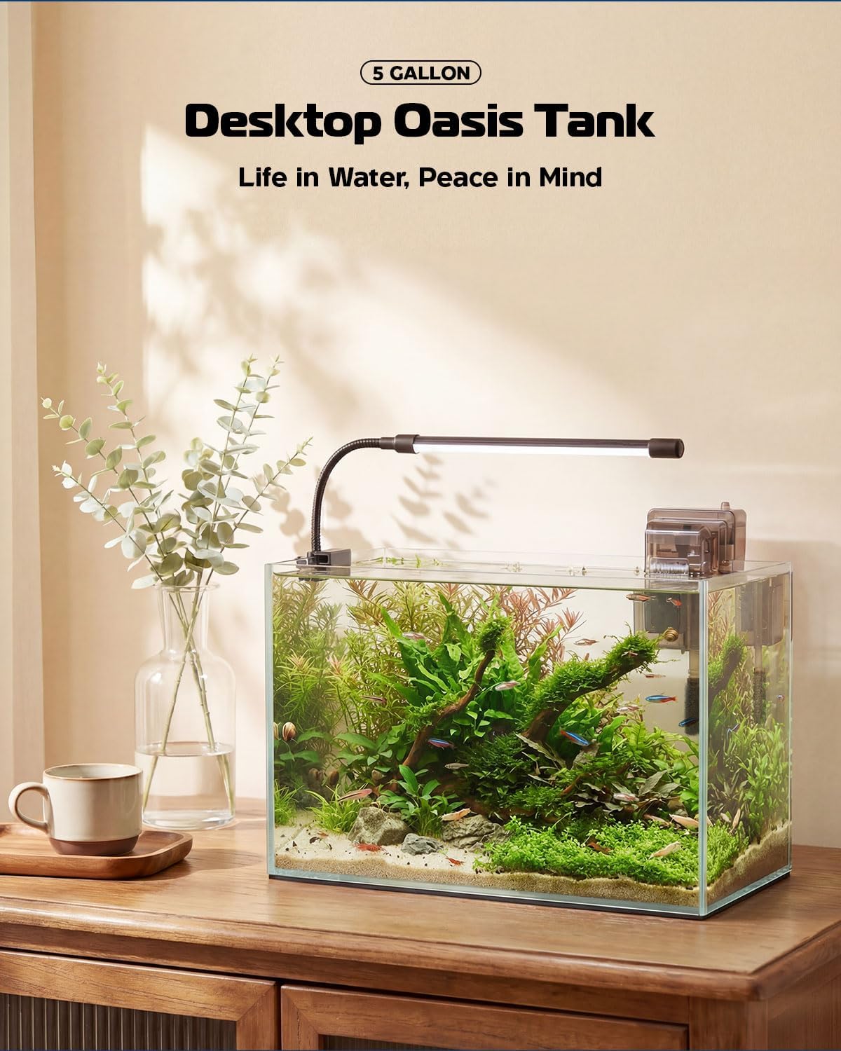 Glass Fish Tank Kit, 5 Gallon Betta Fish Tank Aquarium Starter Kit with Filter, Lights, Lid, for Betta, Goldfish, Small Fish or shrimg，Clear