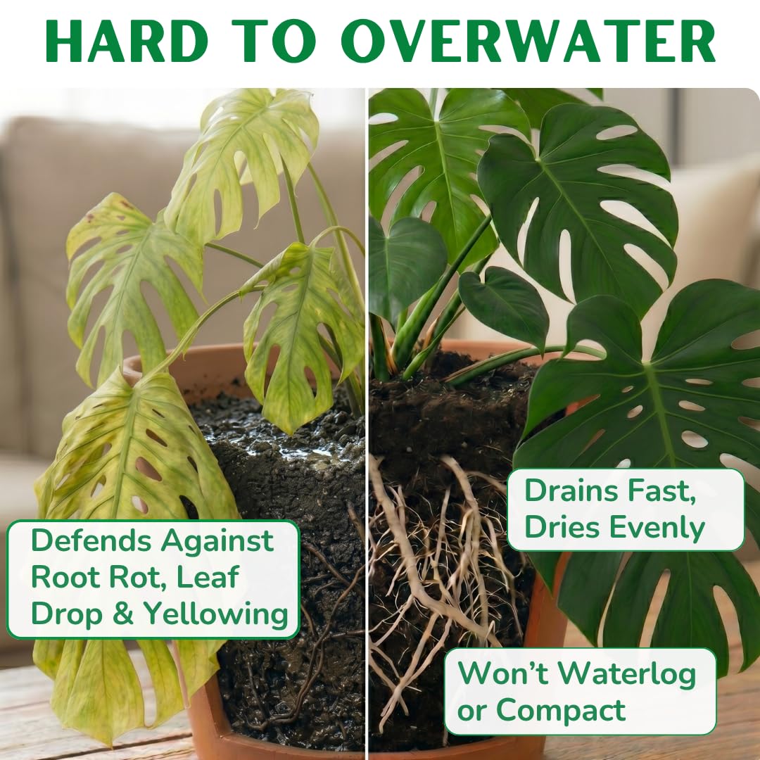Terriccio per invasatura Monstera di alta qualit, drenaggio rapido, ricco  di sostanze nutritive, per una crescita rapida e un'aerazione sana delle  radici, corteccia organica invecchiata, cocco, : Amazon.it: Giardino e  giardinaggio