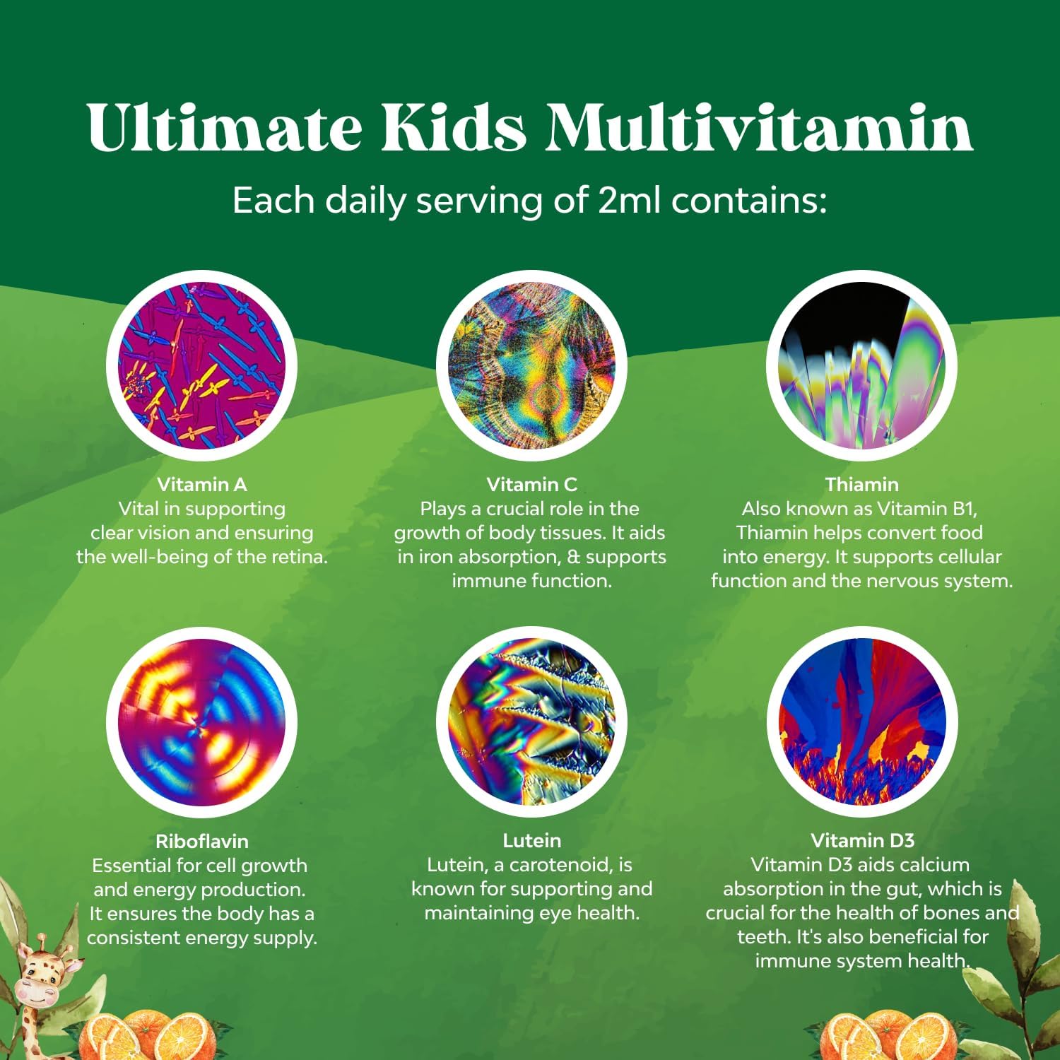 Natures Craft Liquid Multivitamin for Kids Immunity Support - Yummy Toddler Supplement with a C D3 E B6 and Vitamins of All Ages High Absorption 2Fl Oz (Pack of 1) — Amazon image 4