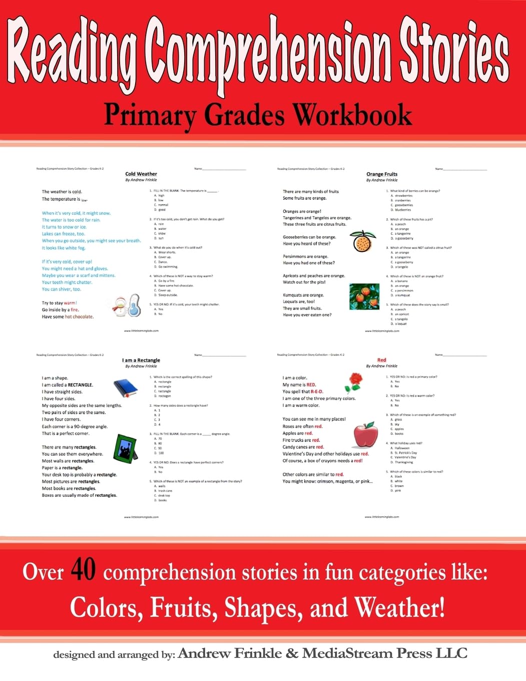 Reading Comprehension Stories: Primary Grades Workbook (Literacy Builders)