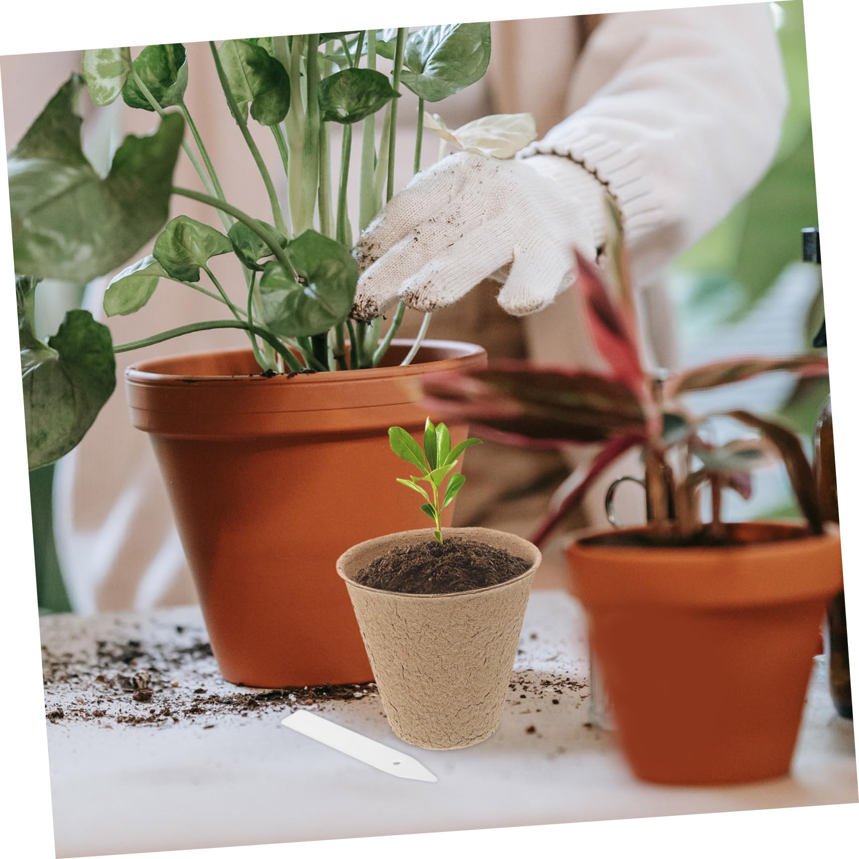 UPKOCH Kit 110 Vasi da Vivaio Biodegradabili in Polpa per Avviamento Piante, Vaso di Torba per Germinazione Piante Grasse e Ortaggi, Trapianto Diretto in Vaso, per Giardino e Balcone