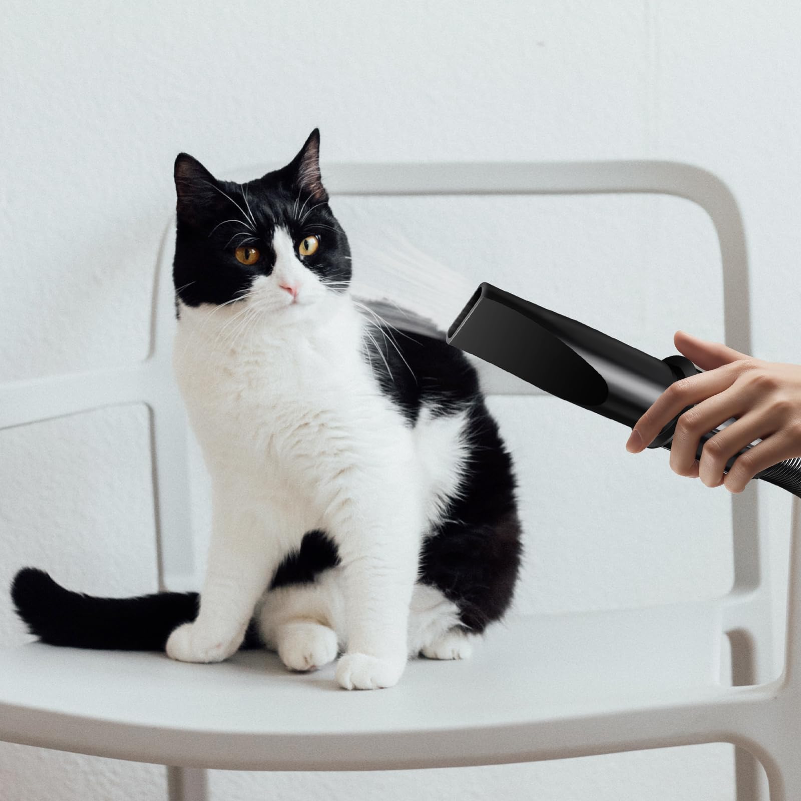 2800W secador de pelo de mascotas sin escalonamientos de baja velocidad de ruido de peluquería del gato secador de pelo profesional de calefacción Blaster soplador con 4 boquillas