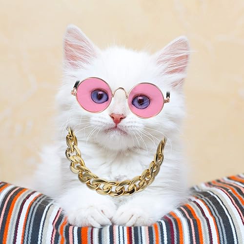 Miniatura 9 de El juego de disfraz de perro de 7 piezas incluye cadena dorada ajustable para mascotas y divertidas gafas de sol para perros pequeños y gatos, gafas