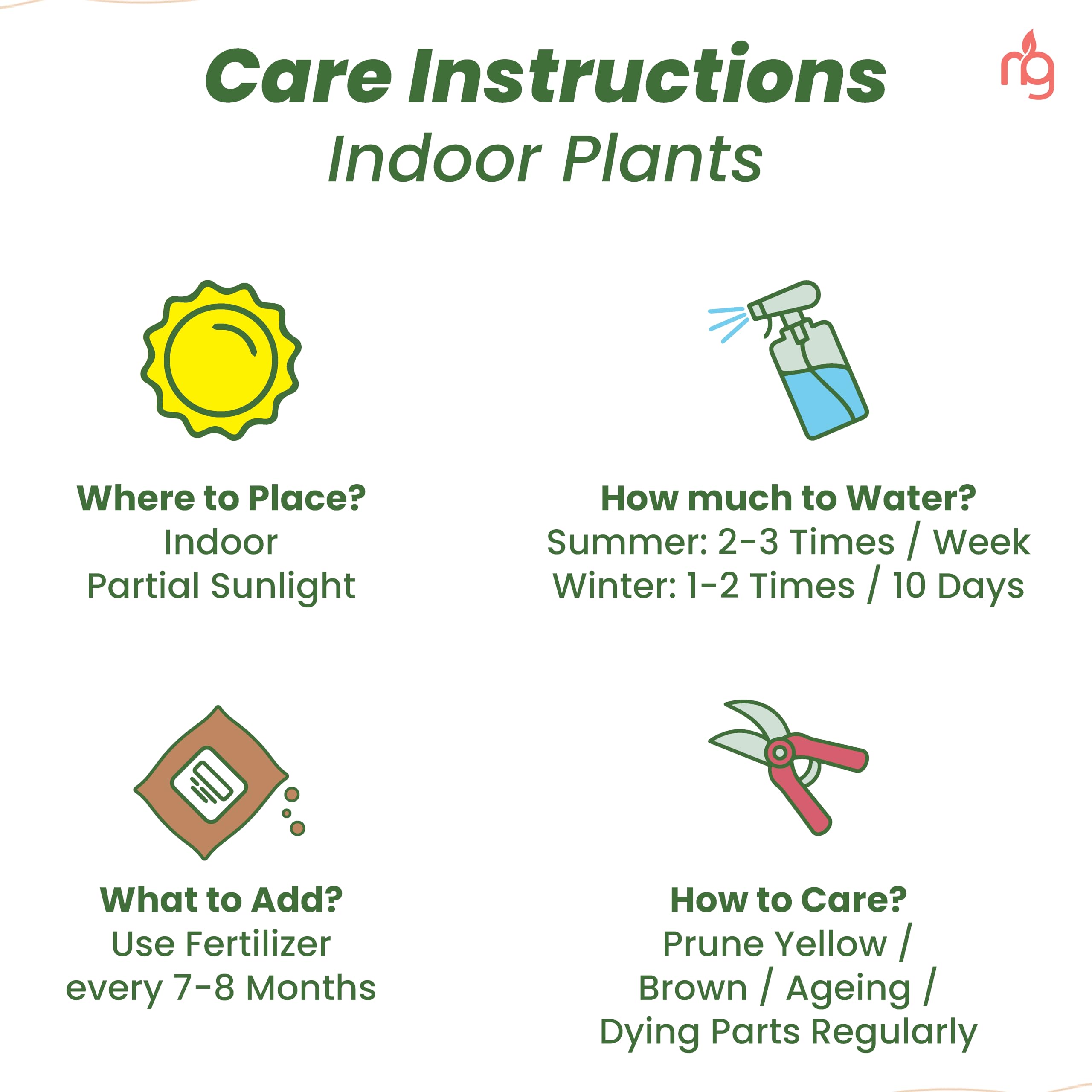 Nurturing Green® Combo of 4 Indoor Live Plants (Jade, Syngonium, Scindapsus Gold & Money Plant Njoy) with Mocha Self Watering Plastic Pots | Air Purifying Plants for Home Decor & Garden - Image 6 thumbnail