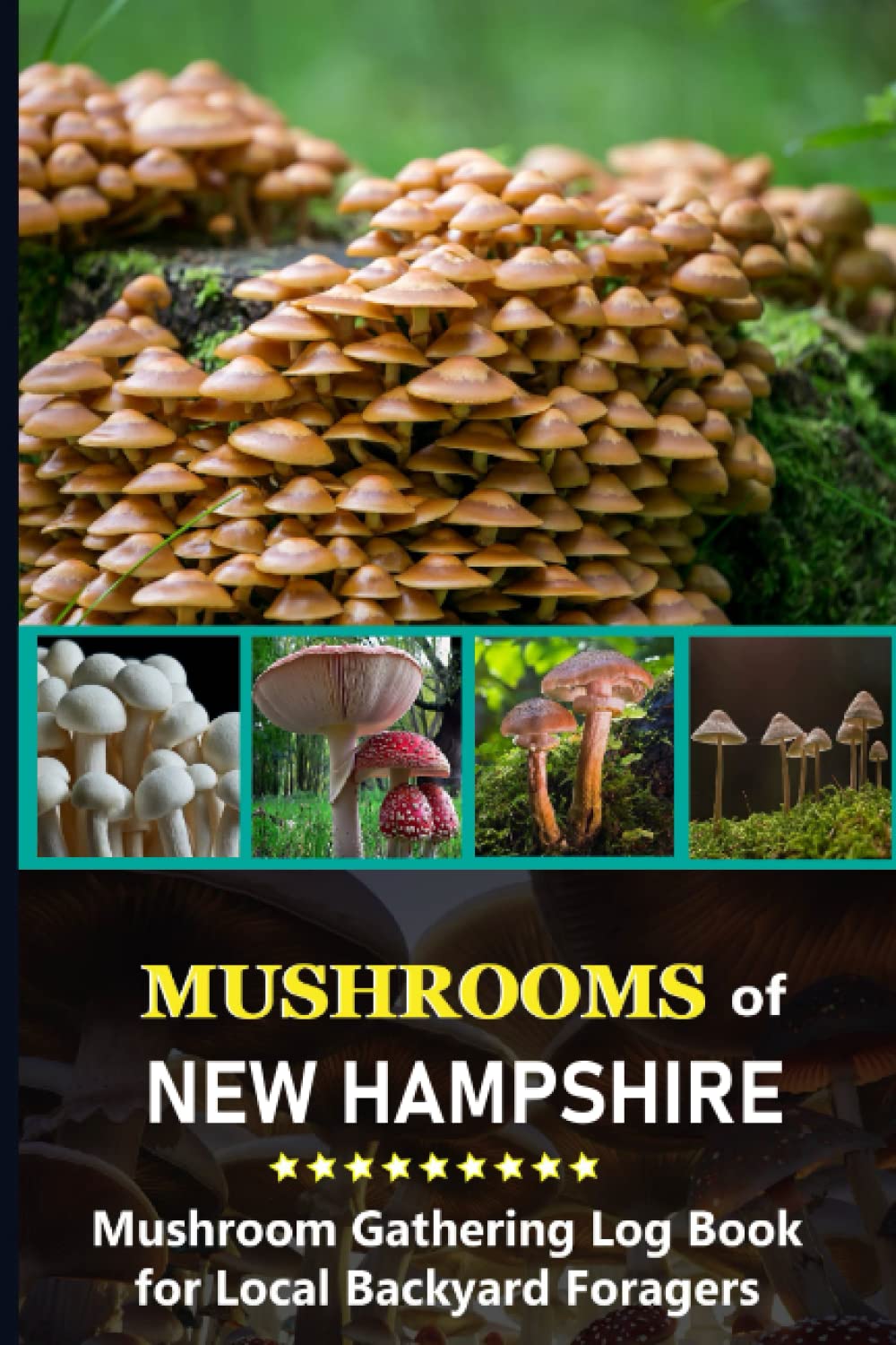 Buy Mushrooms of New Hampshire Mushroom Gathering Log Book for Local