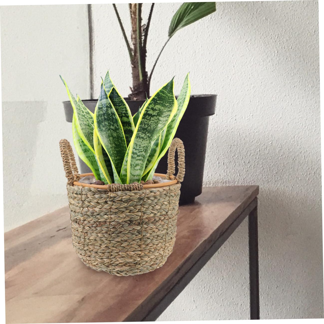 MAGICLULU Cestini Decorativi Per Piante Cestino Portaoggetti in Paglia Intrecciata Piccolo Manico Decorazione Multiuso Per La Casa