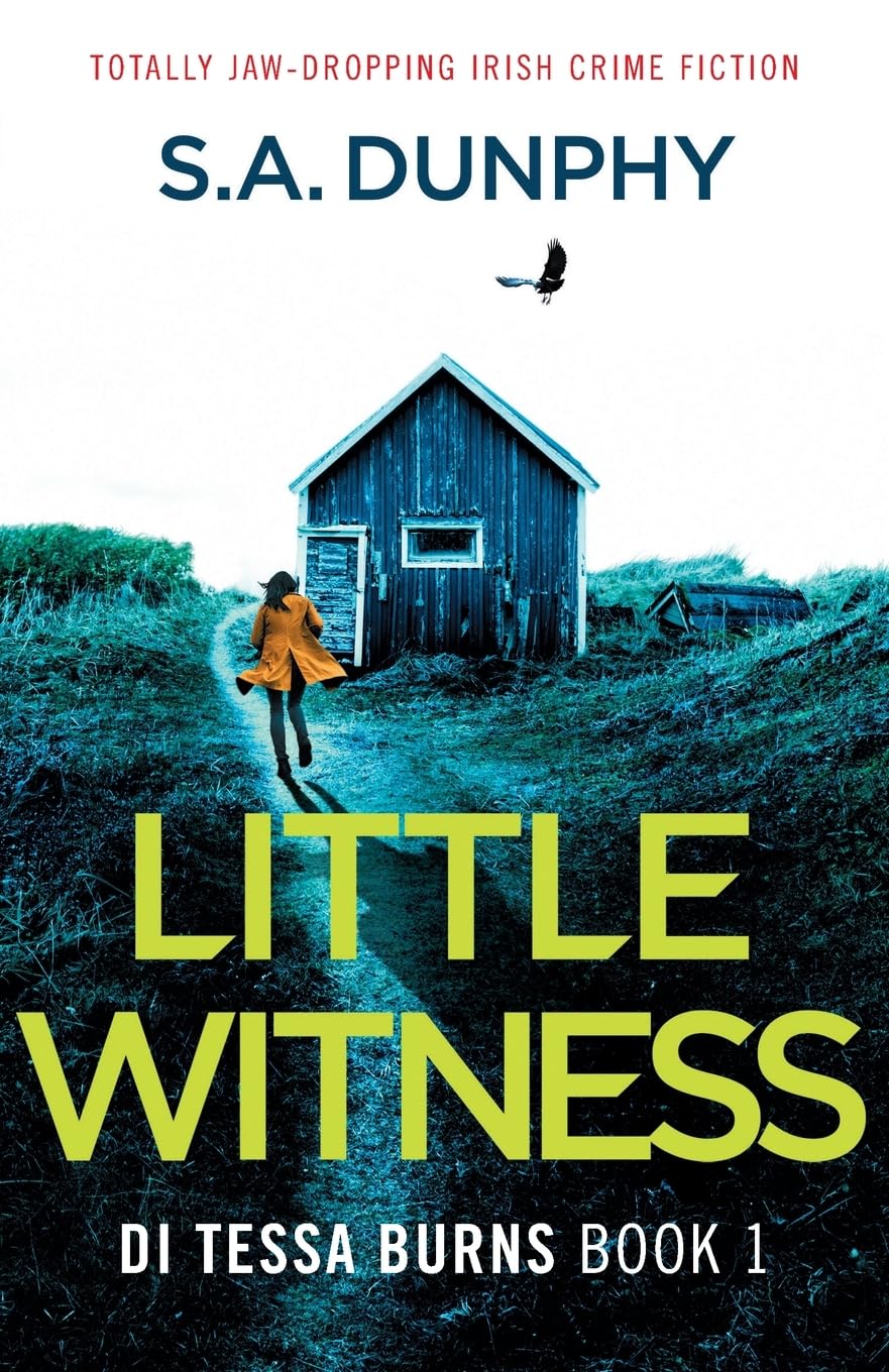 Little Witness: Totally jaw-dropping Irish crime fiction: 1 (Detective Tessa Burns)