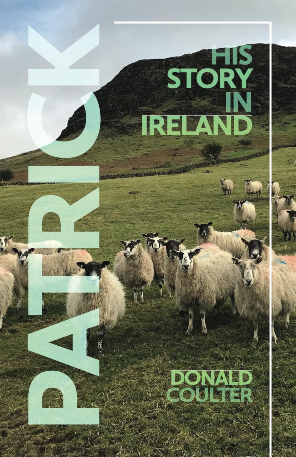Patrick: His Story in Ireland
