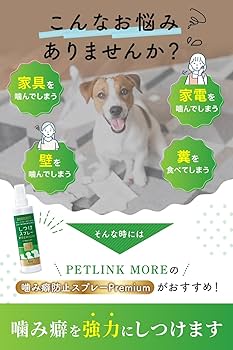 飼犬手噛 Dog biting can be cured with XX! Easy ways for anyone to