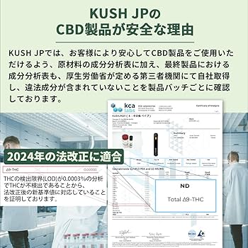 Amazon | 【KUSH JP】 CBNリキッド 高濃度 CBN -PRO- 【改正基準