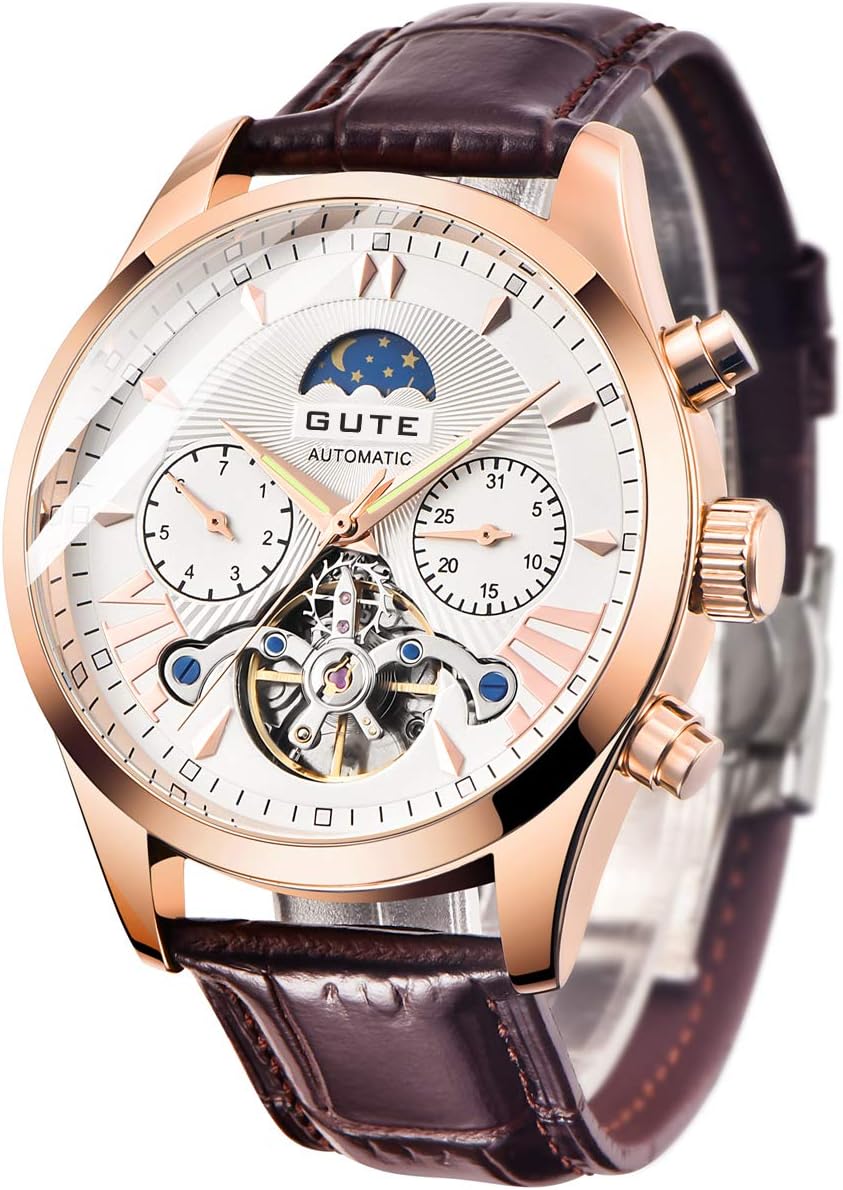 Men's Leather Watch Luxury Automatic Mechanical Moon Phrase Skeleton Luminous Waterproof Hands Automatic Self-Wind Leather/Stainless Steel Wrist Watch