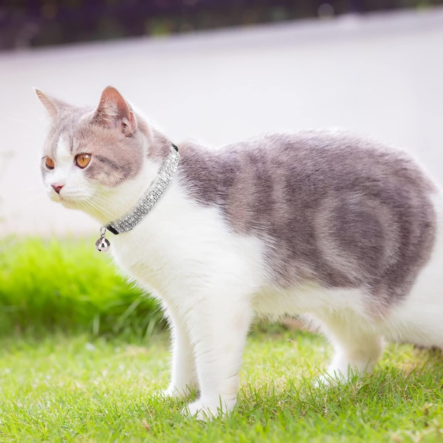 BINGPET Diamond Cat Collar, Adjustable Soft Velvet Jamaica Ubuy