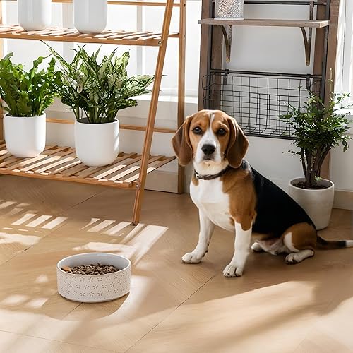 Miniatura 6 de MALACASA Cuenco de cerámica para perros, 3.5 tazas o 32 onzas, plato de agua para razas de mudium, cuenco para mascotas apto para lavavajillas y