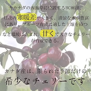 5kg 超大粒カナダ産チェーリ サクランボ 8.5Rさくらんぼ クール便発送 Amazon.co.jp: 超大粒果物 カナダ産チェリーさくらんぼ