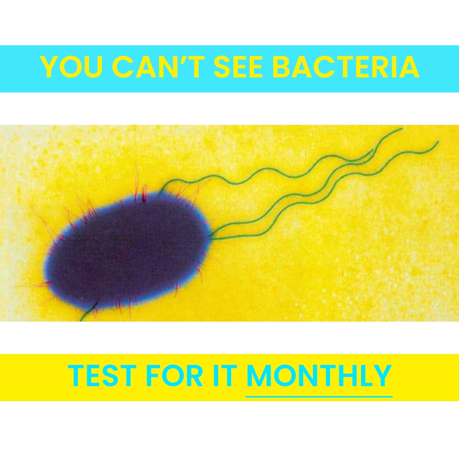 Watersafe Rapid Coliform Bacteria Test Kit 10Pack Great Deal for