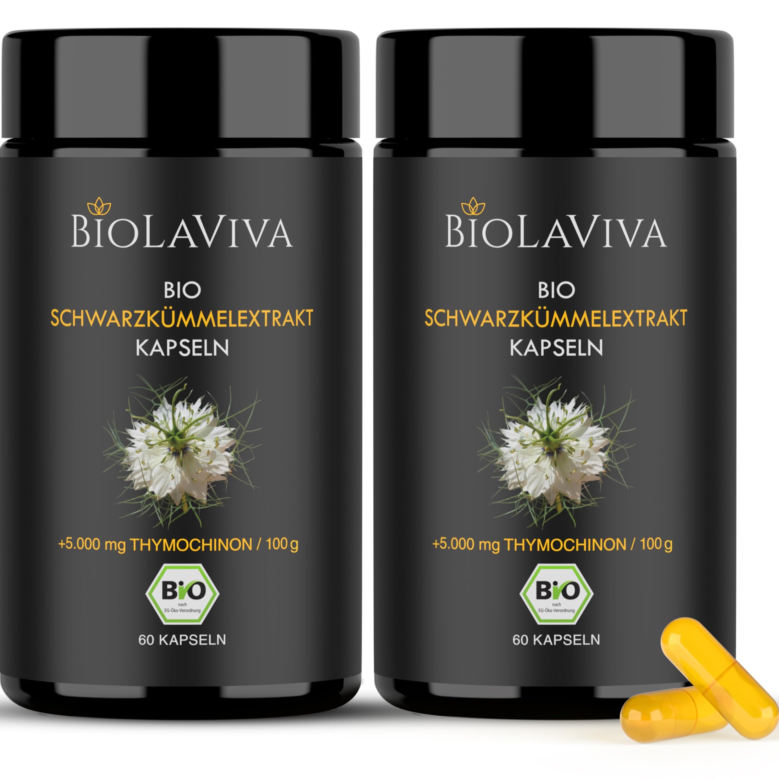 BIOLAVIVA