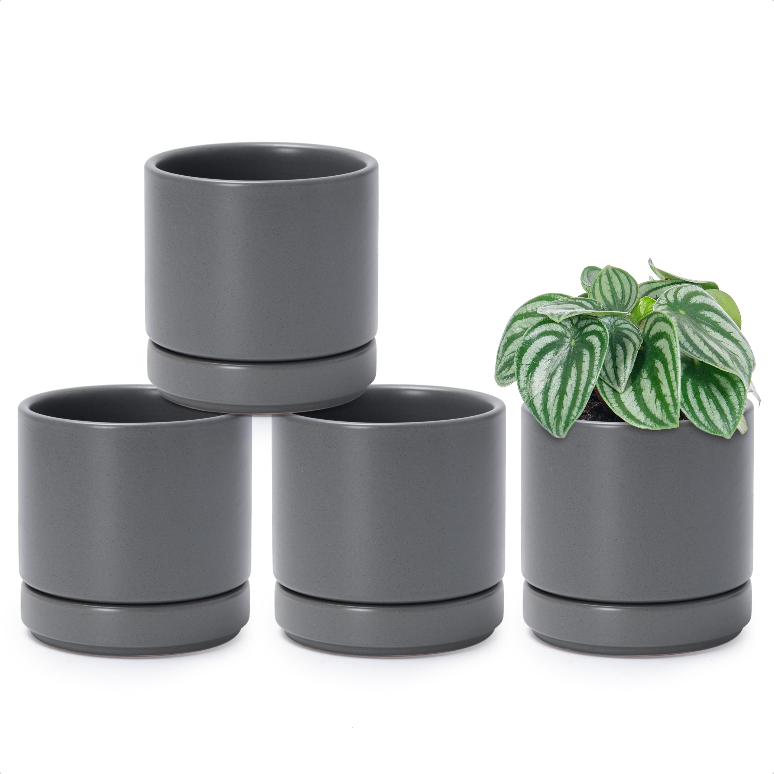 D'vine Dev 4-Pack Ceramic Pots