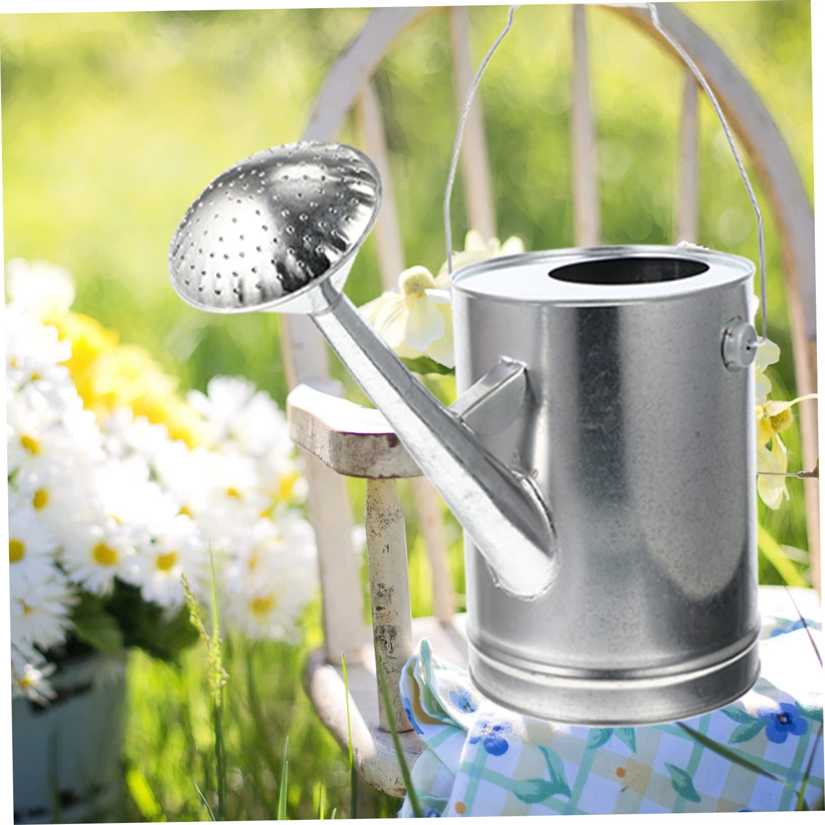 Toyvian Annaffiatoio da Giardino in Ferro Zincato da 5l Beccuccio e Manico Ergonomico, per Innaffiare Piante All'aperto in Giardino