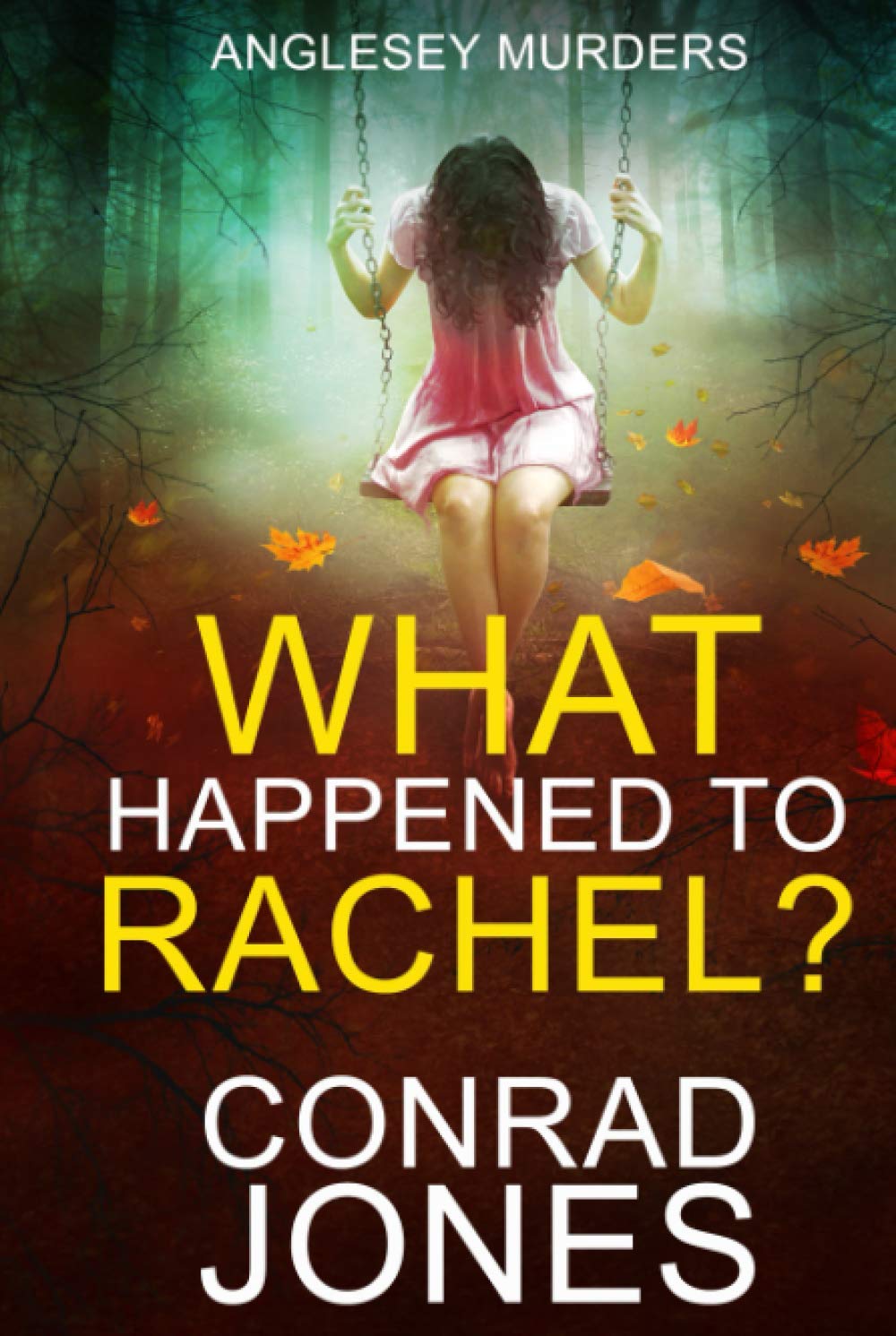 What Happened to Rachel? (The Anglesey Murders)