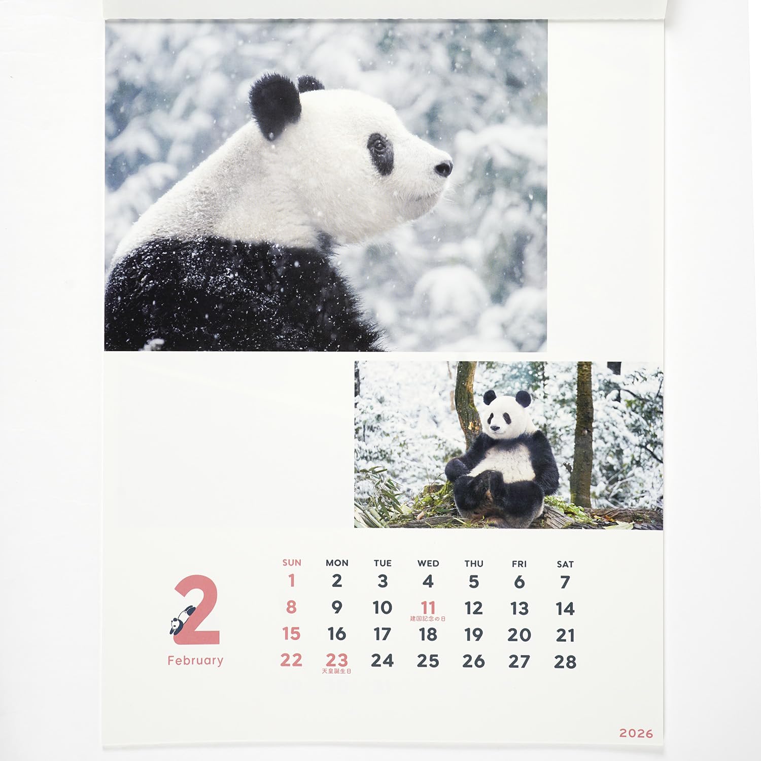 Amazon | グリーティングライフ 2026年 カレンダー シャンシャン