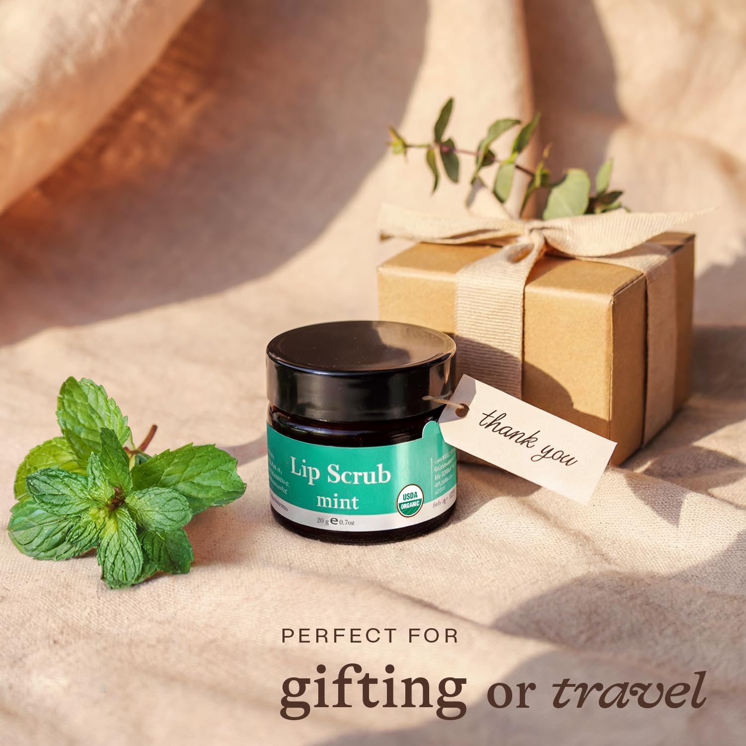 USDA Organic Lip Scrub Mint - Fabricado en Estados Unidos con ingredientes naturales, exfoliante hidratante para labios secos, exfoliante exfoliante de azúcar labial para labios suaves, pequeños 6
