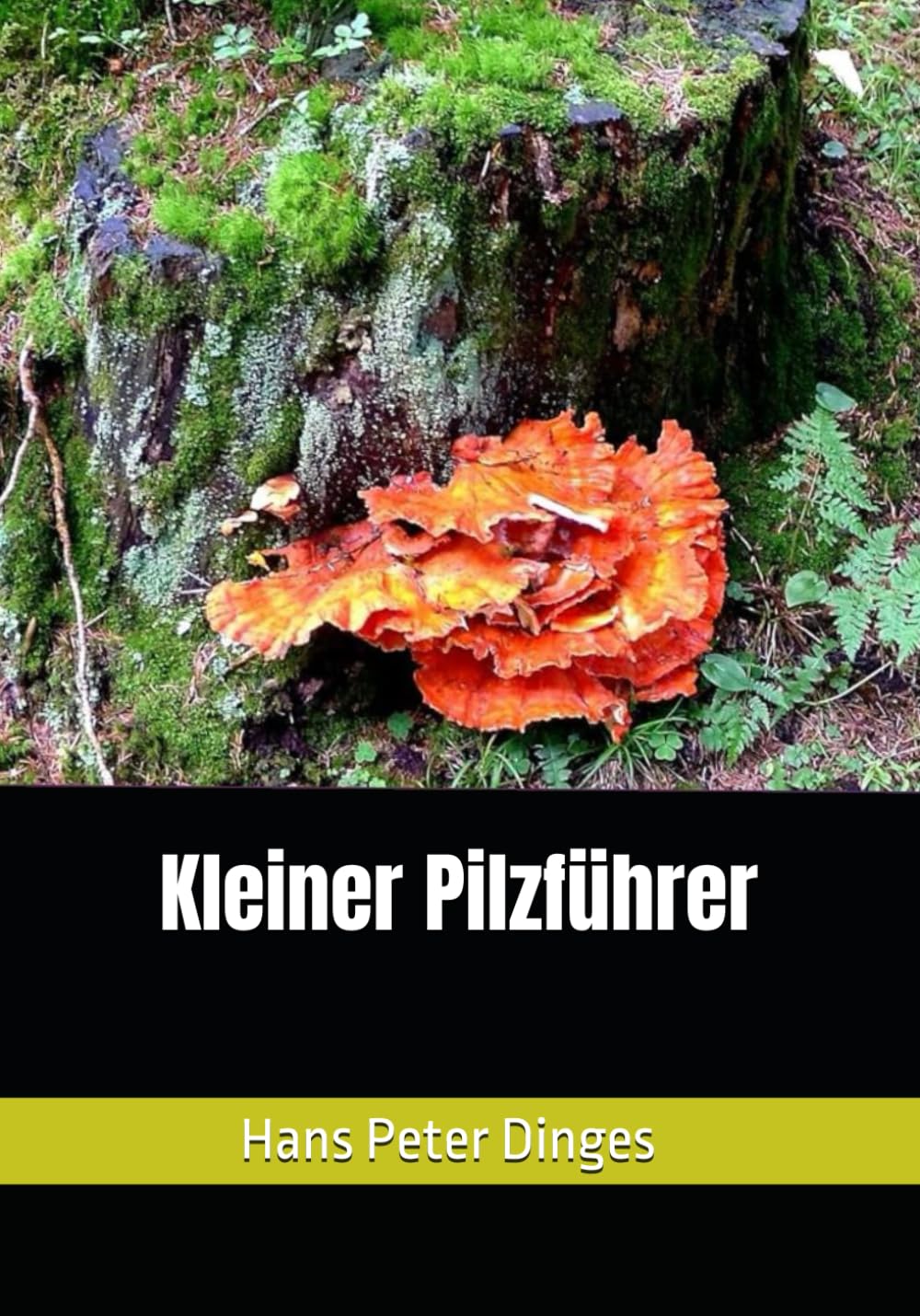 Kleiner Pilzführer