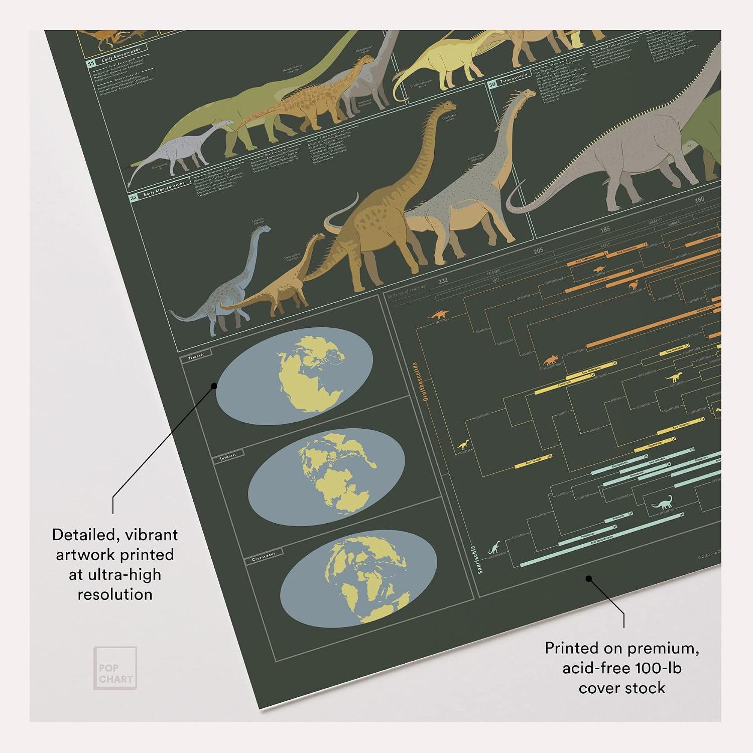 Pop Chart | Dinosauria | Large 24" x 36" Dinosaur Poster | Dinosaur Room Decor for Home or Classroom | Educational Chart of Dino Evolution | 100% Made in the USA