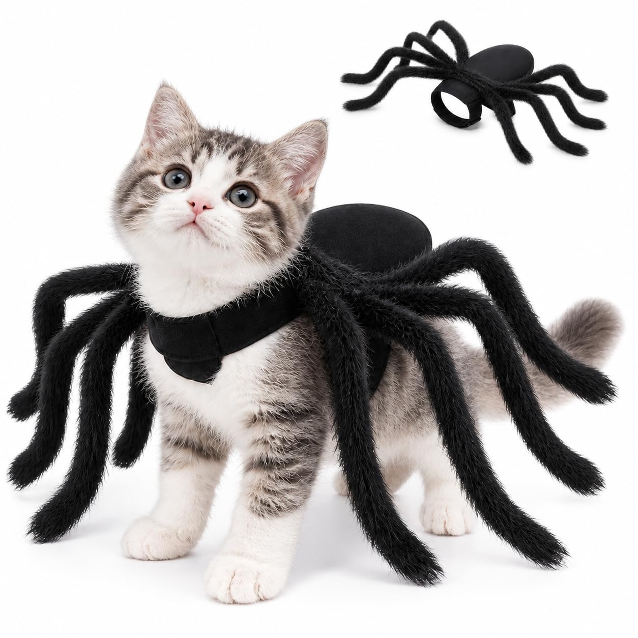 Spider Costume for Cat and Dog, Halloween Pet Costume for Cosplay Halloween Accessory for Small Medium Dogs & Cat, Party Decorations for Cosplay Parties Dress Up