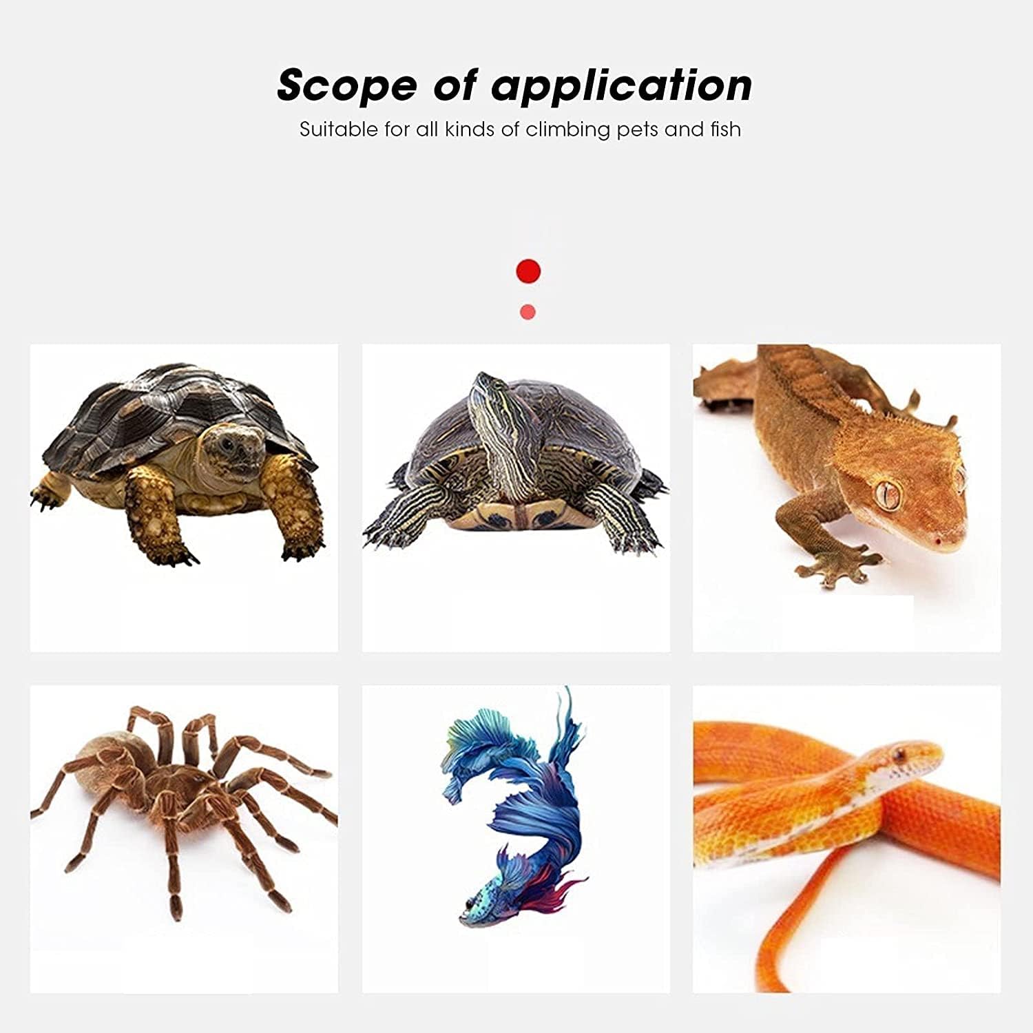 Reptile Heat Mat Reptile Heating Mat Constant Temperature Without Switch Adjustable Temperature Reptile Heat Pad USB Powered(S) (Size : One Size)