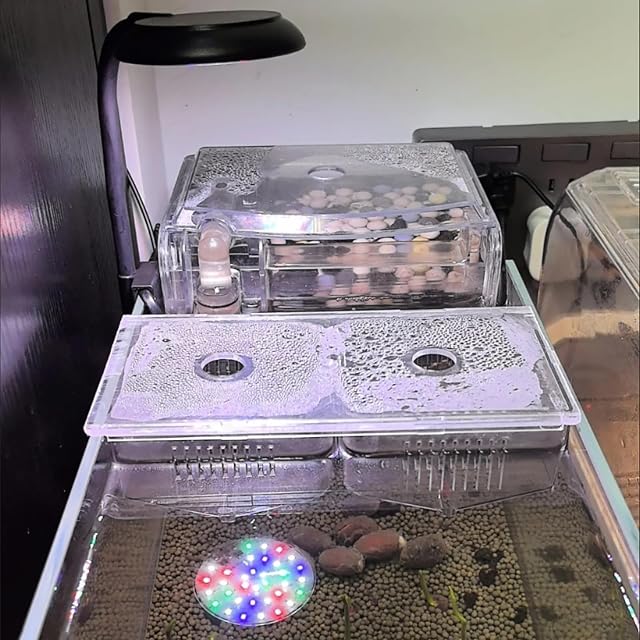 Foto 3 de 3 de GERUI 7W USB 5V2A Full Spektrum Clip On Aquarium Lampe, Aquarium Led Iluminación, Temporizador ajustable
