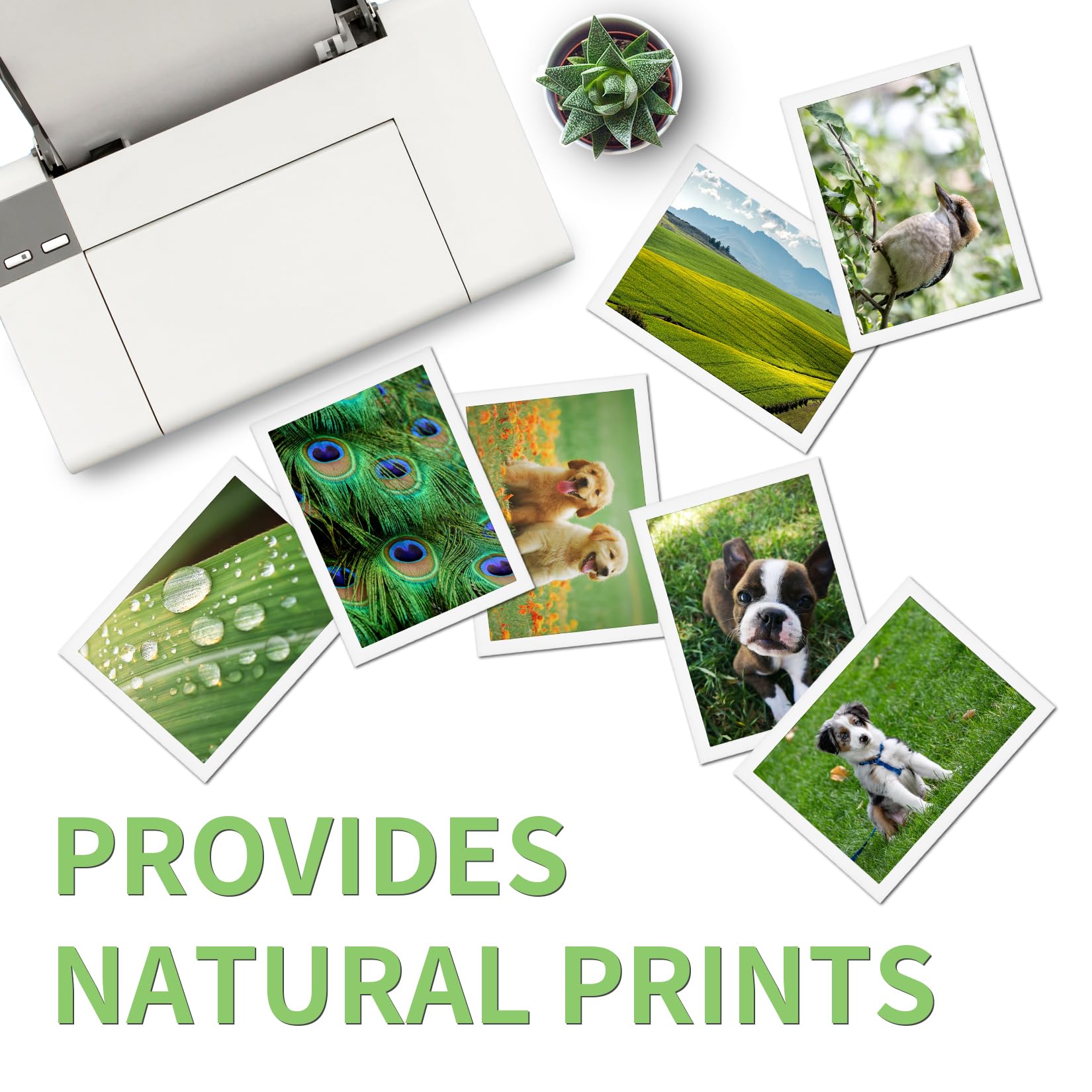 Veson Lot de 4 toners 304A avec puce compatibles avec les toners HP 304A