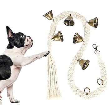 How to Teach Dogs to Ring a Potty Bell at the Door: Simple Steps