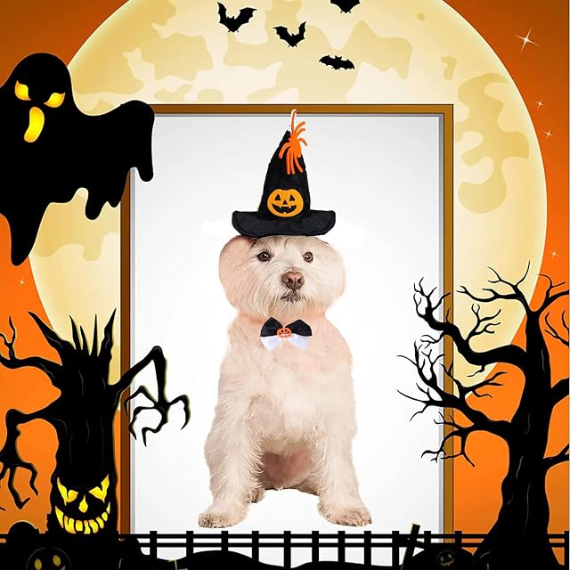 Foto 5 de 5 de Conjunto de disfraz de Halloween para mascotas, ajustable, sombrero de mago de calabaza y corbata