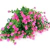 Product Photo 5