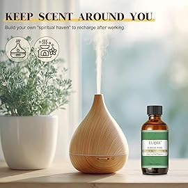 EUQEE Forest Pine Fragrance Oil Premium Fragrance Essential Oil 2.02 Fl oz with Glass Dropper for Diffusers, Soap Making, DIY Candle (60ml)