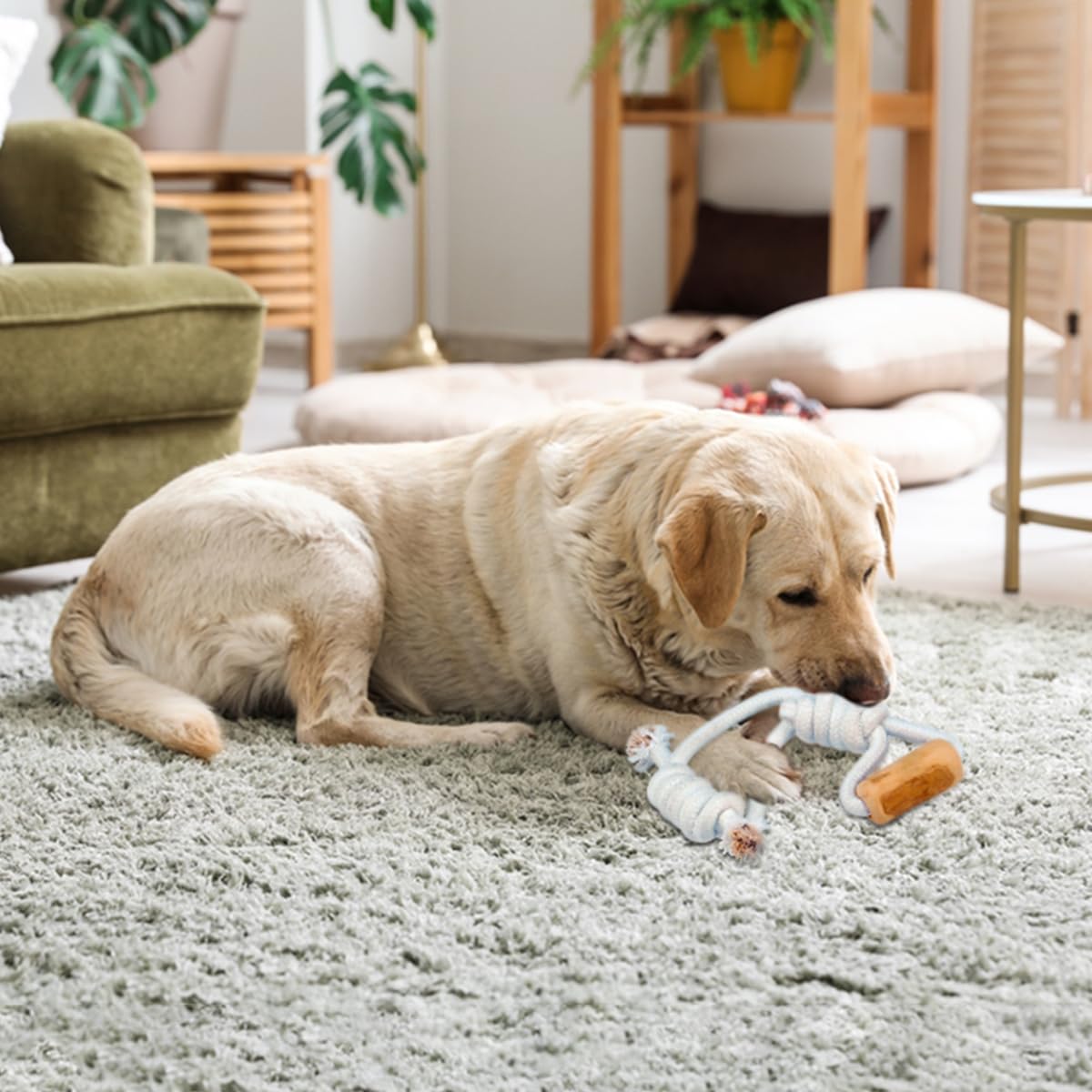 Fuzzl Coffee Stix & Rope Lobber Coffee Wood Chew Throw and Fetch Tough Dog and Puppy Toy, Natural - Image 4